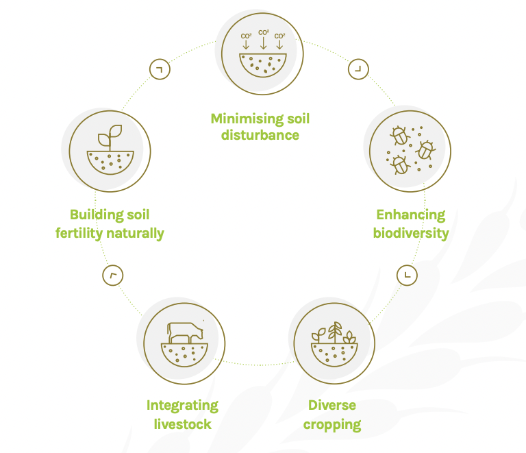 5 core principles of regenerative farming