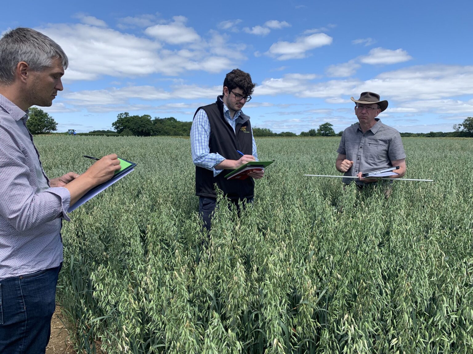 Cope Seeds & Grain team in a field of Delfin spring oats|Cope Seeds & Grain staff in a field of Delfin spring oats