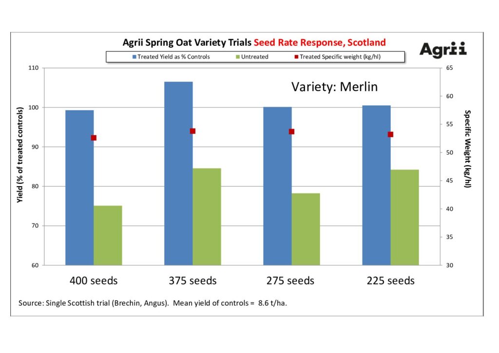 Spring oat seed rate response