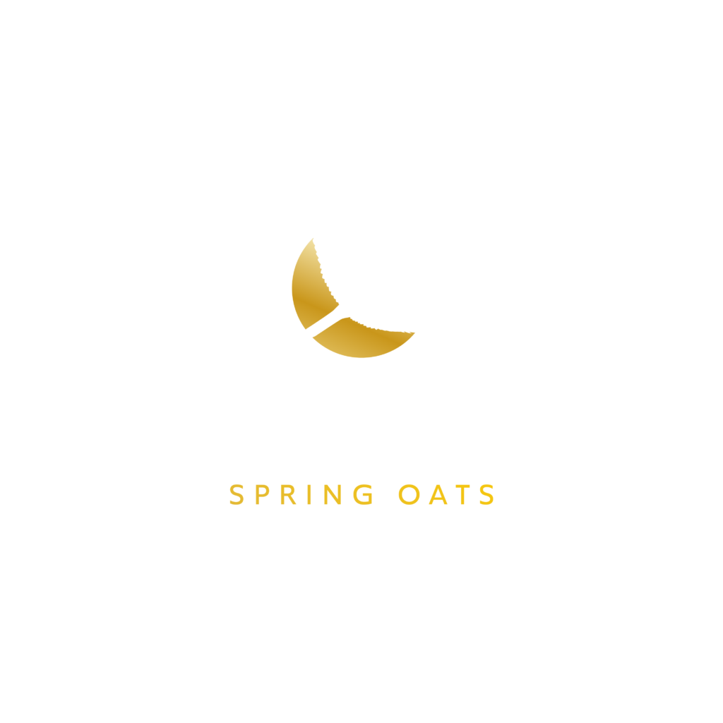 Merlin Spring Oats