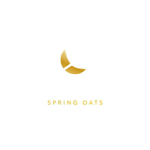 Merlin Spring Oats Merlin Spring Oats